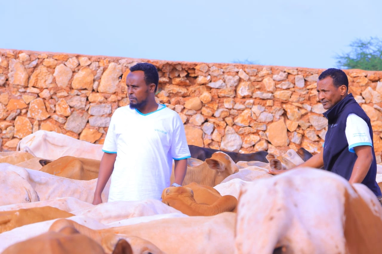 Qurban images Image 7